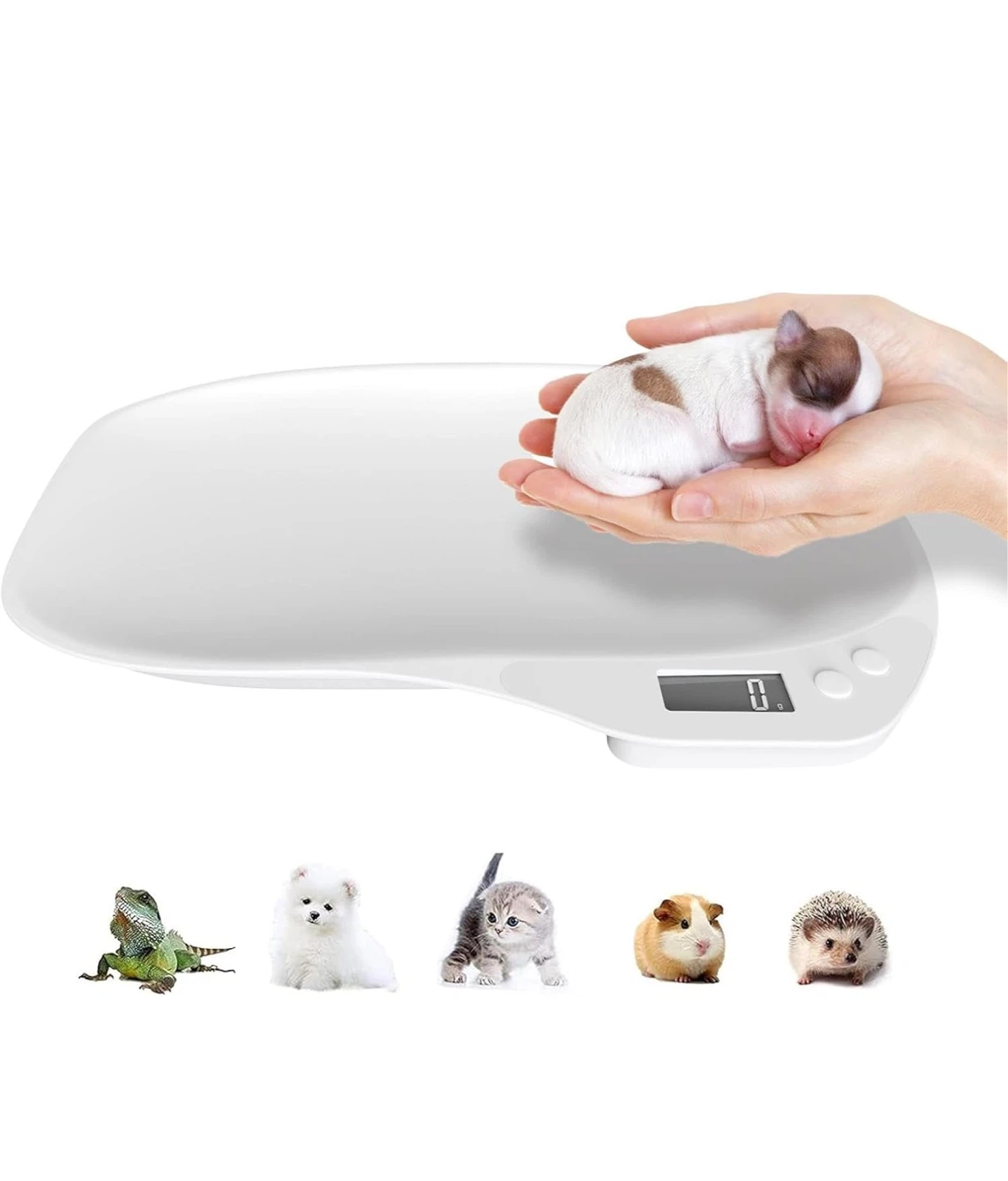 Digital Pet Scale for Small Animals