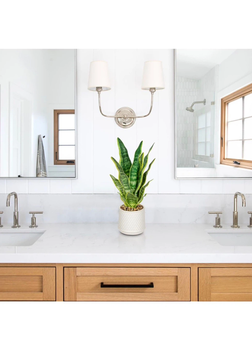 Artificial Snake Plant in White Pot - photo 3