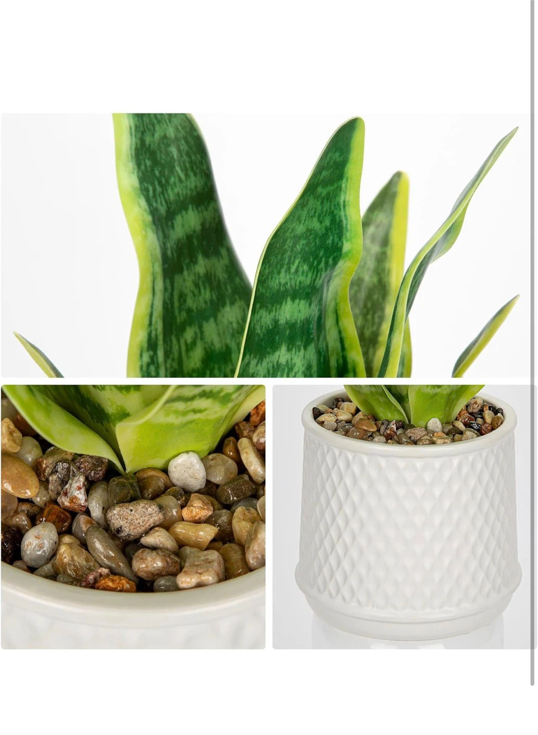 Artificial Snake Plant in White Pot - photo 2