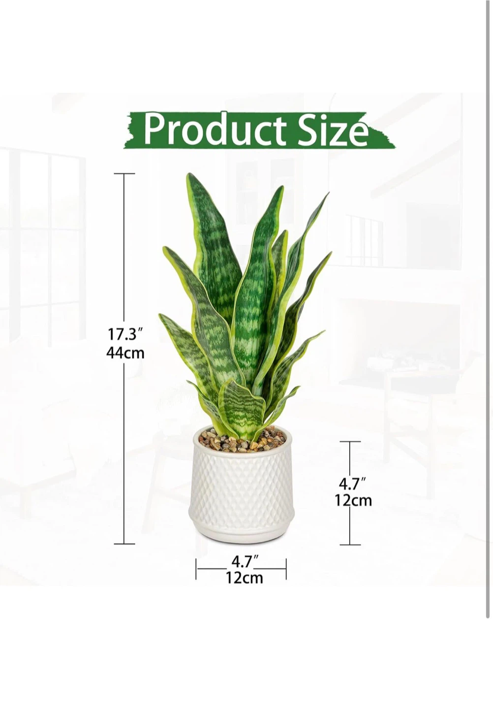 Artificial Snake Plant in White Pot