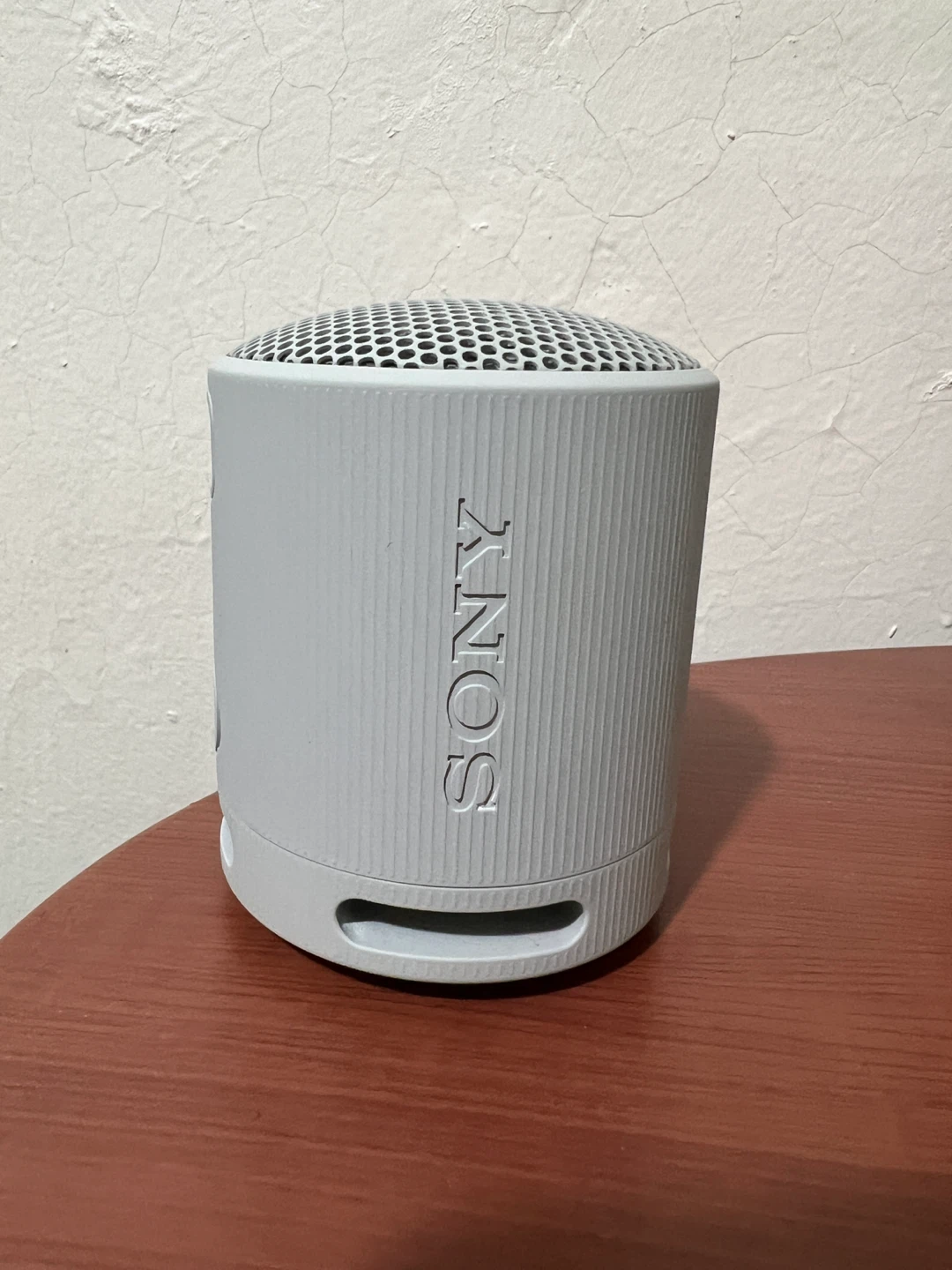 Sony Portable Bluetooth Speaker