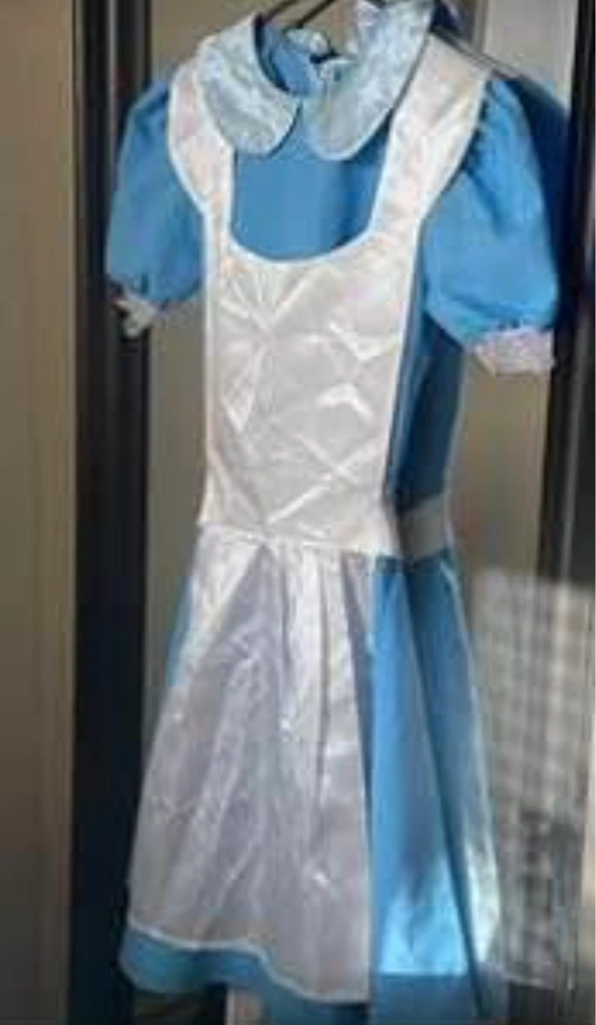 Alice in Wonderland Costume Dress