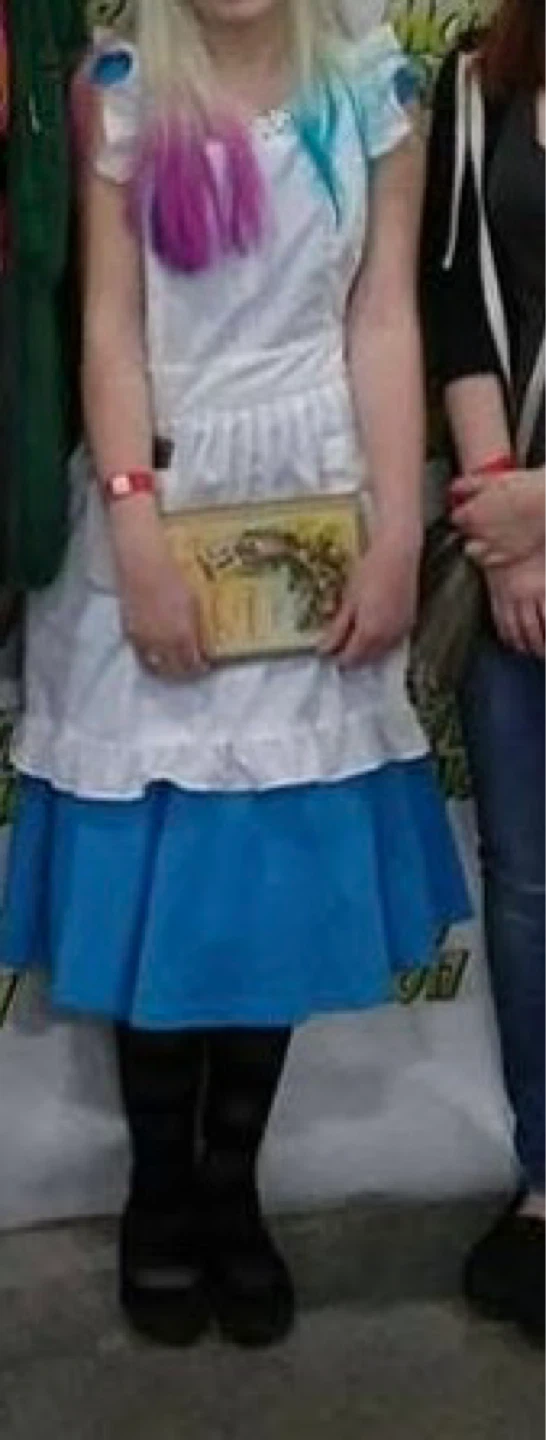 Alice in Wonderland Costume Dress - photo 2