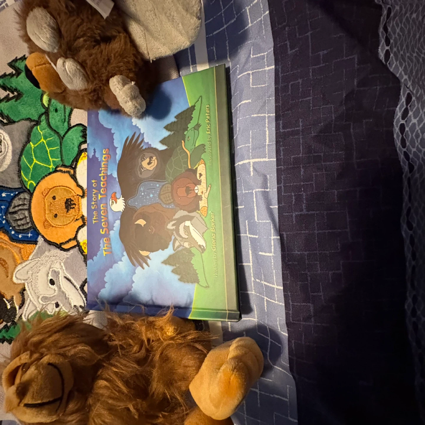Indigenous 7 teaching animal set - photo 3