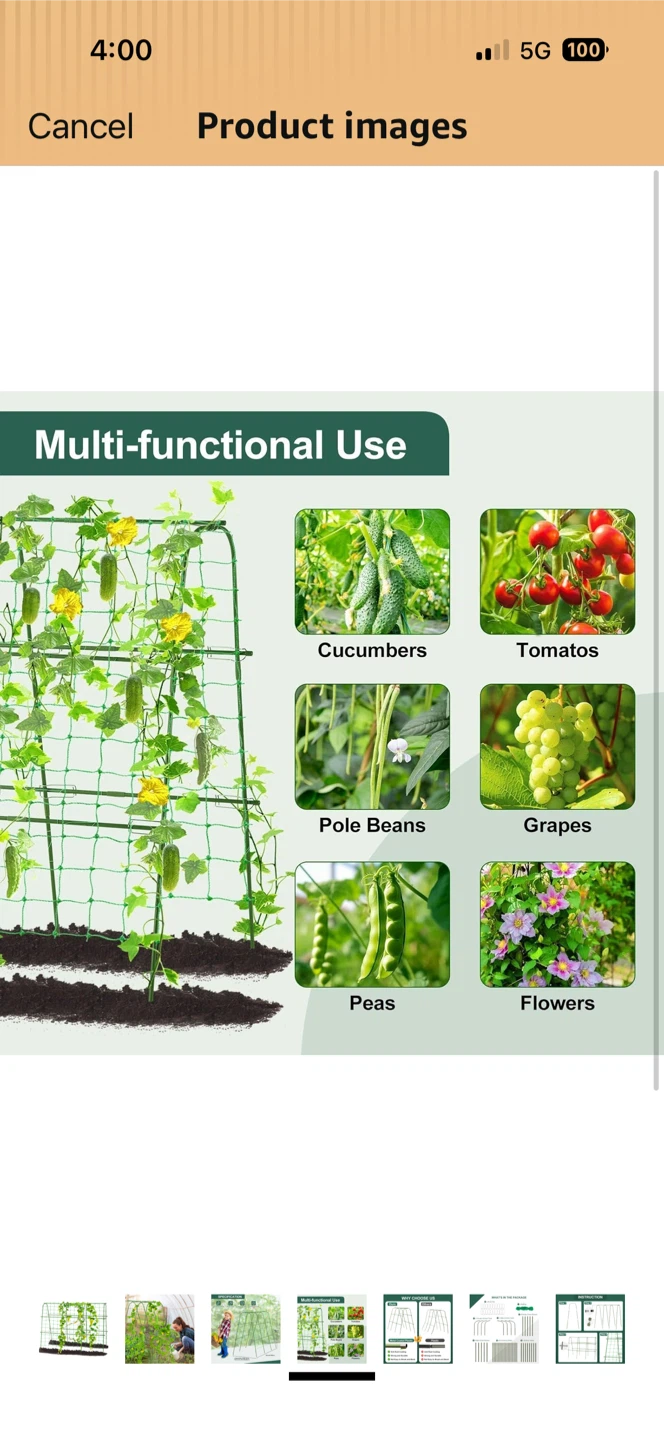 Climbing Plant Trellis for Garden - photo 3