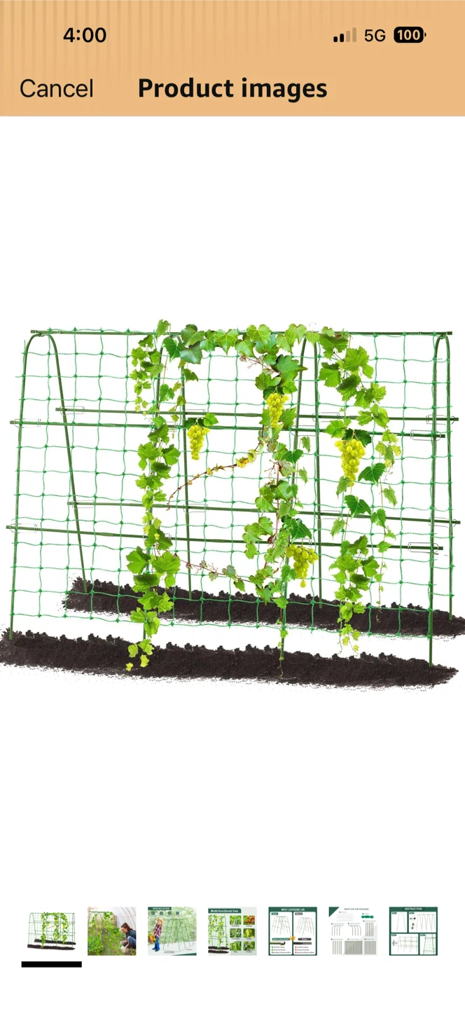 Climbing Plant Trellis for Garden