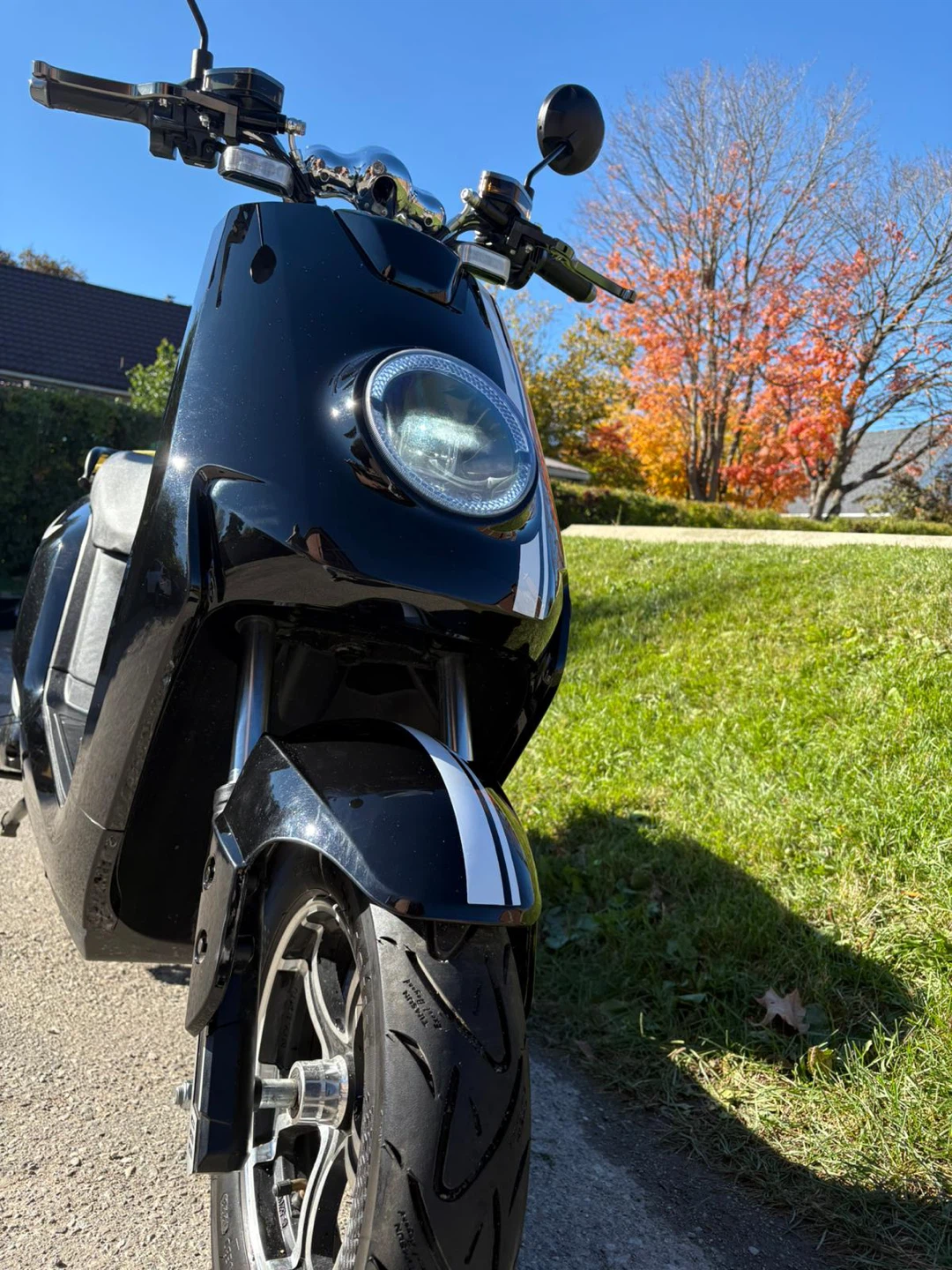TAG MOTOR Electric Scooter