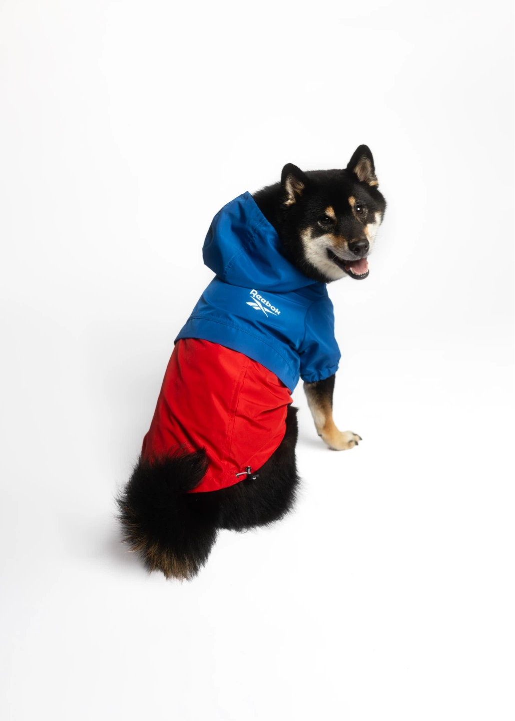 Reebok dog rain coat - photo 5