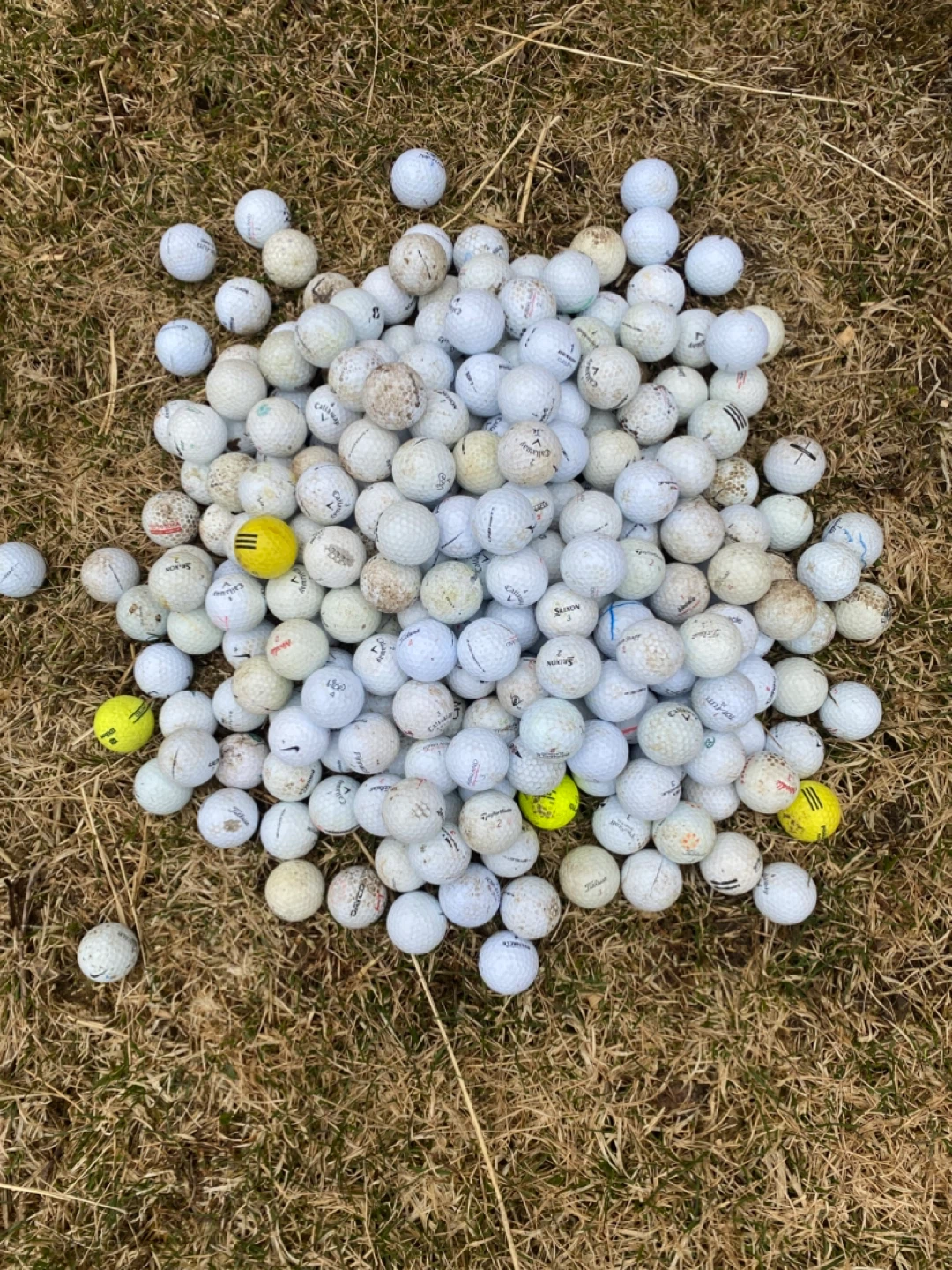 Mixed 244 Golf Balls
