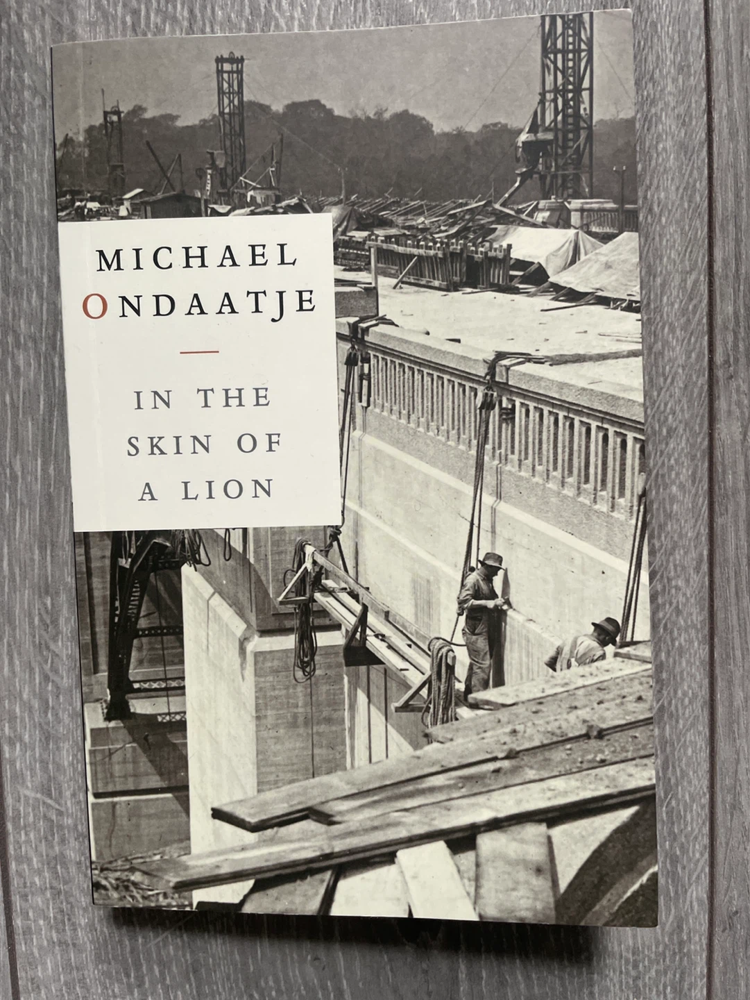 In the Skin of a Lion by Michael Ondaatje