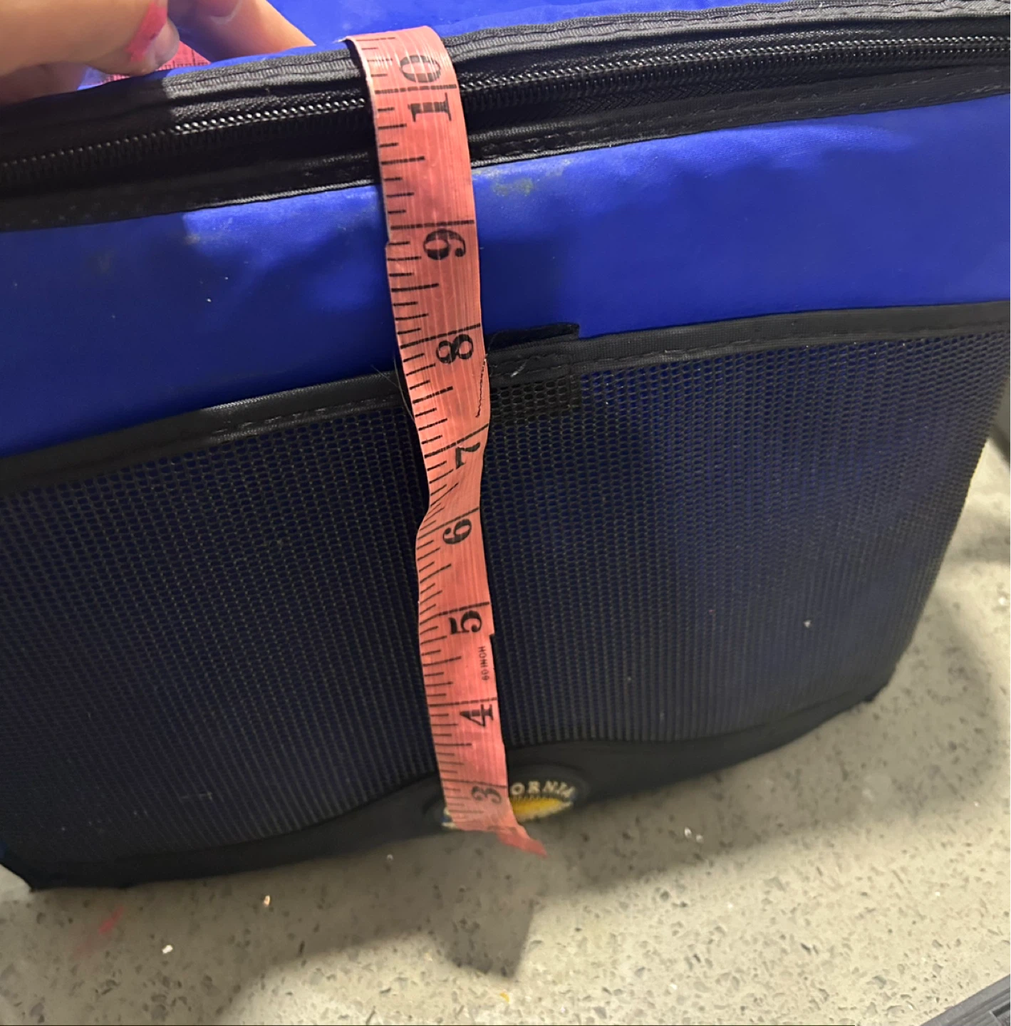 California Innovations Blue Insulated Cooler Bag - photo 4