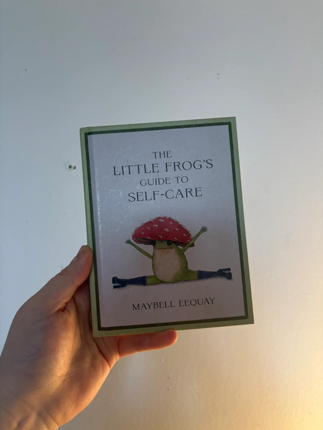 The Little Frog's Guide to Self-Care by Maybell Eequay Book