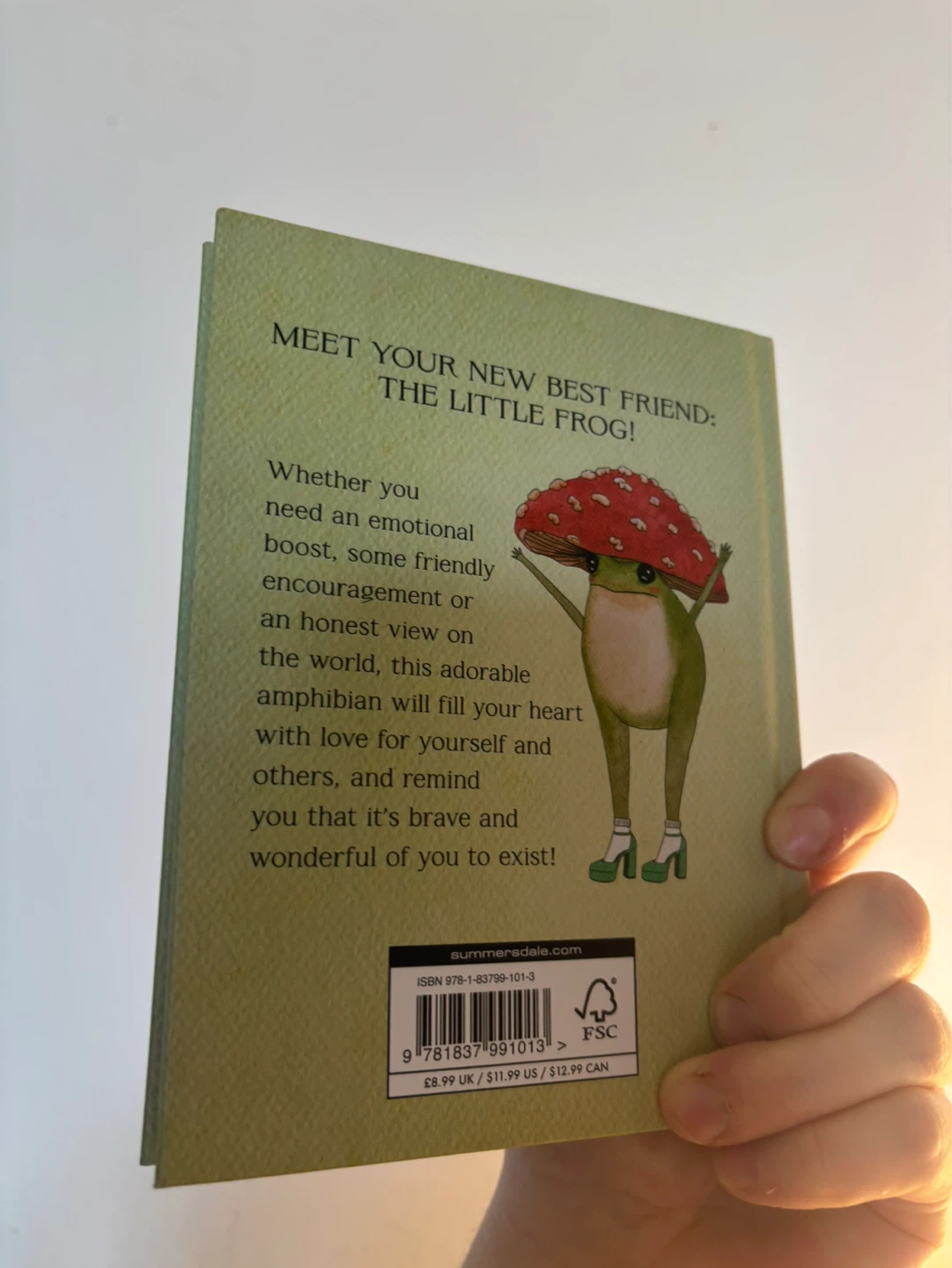 The Little Frog's Guide to Self-Care by Maybell Eequay Book - photo 2