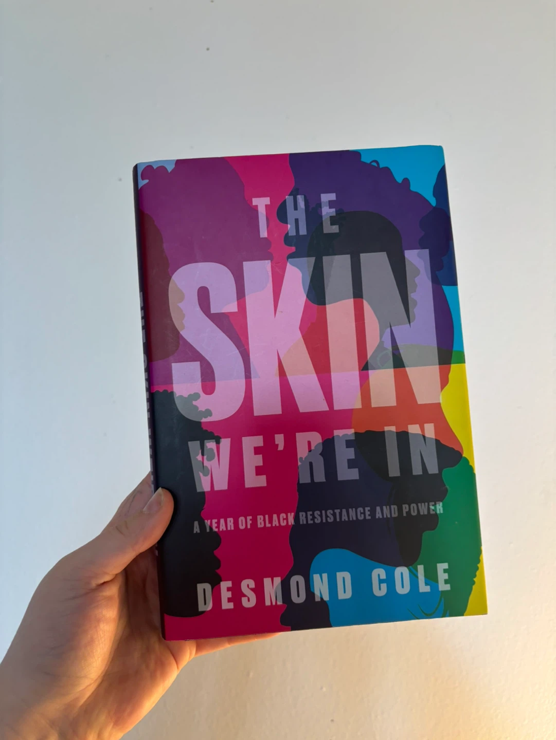 The Skin We're In by Desmond Cole