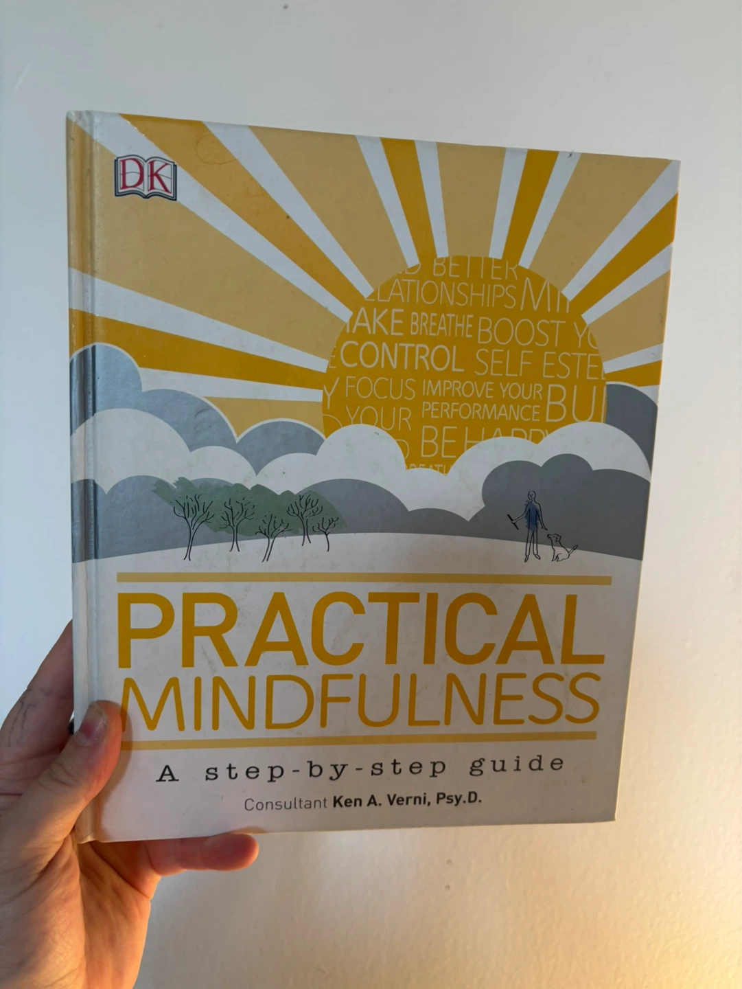 Practical Mindfulness: A Step-by-Step Guide Book