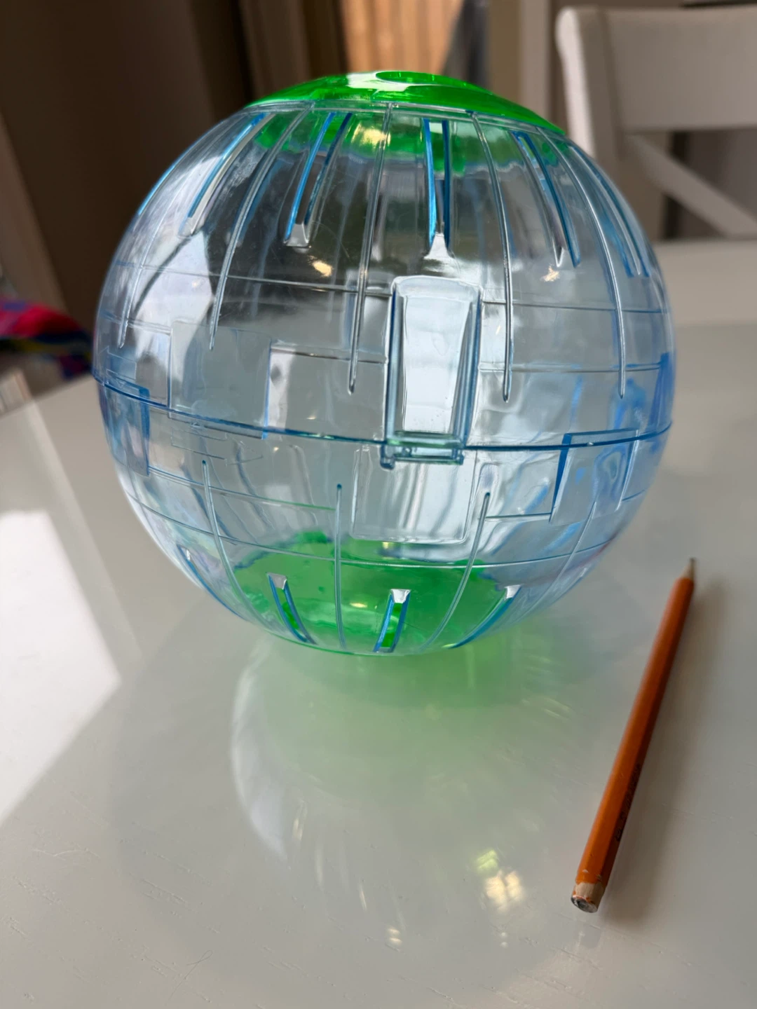 Clear Hamster Exercise Ball