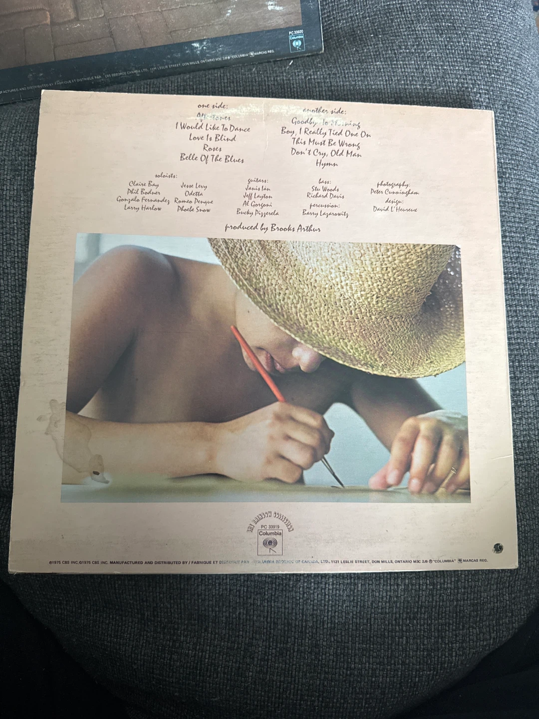 Janis Ian Aftertones Vinyl Record - photo 2