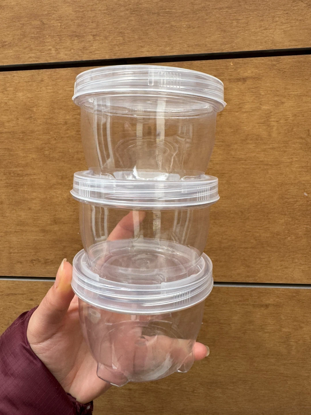 Set of 3 Clear Plastic Food Storage Containers with Lids