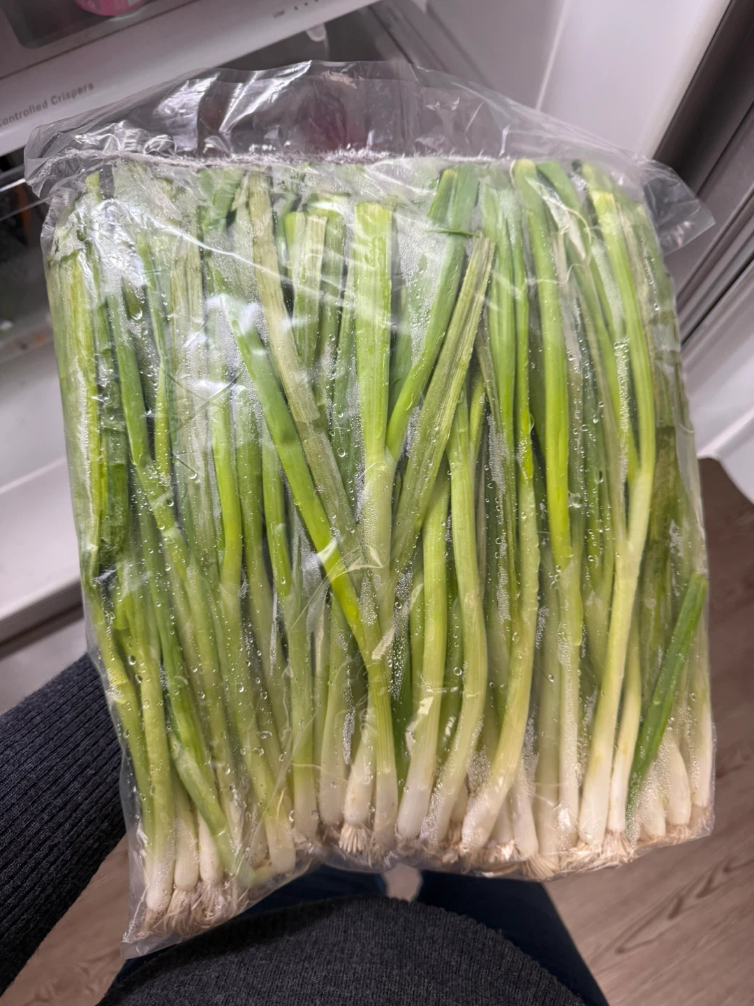 2 lb Fresh Green Onions