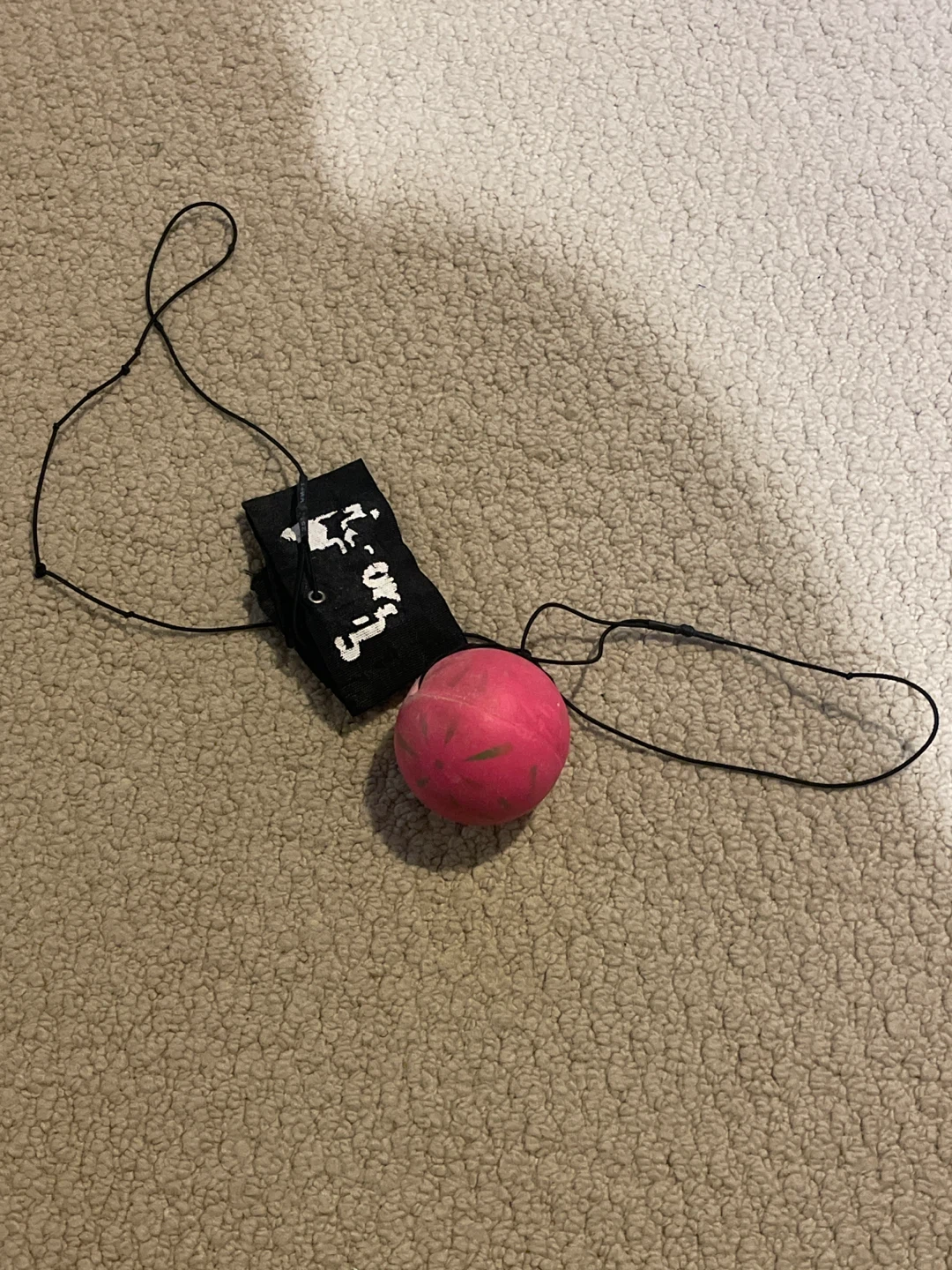Punching Ball on Elastic Cord