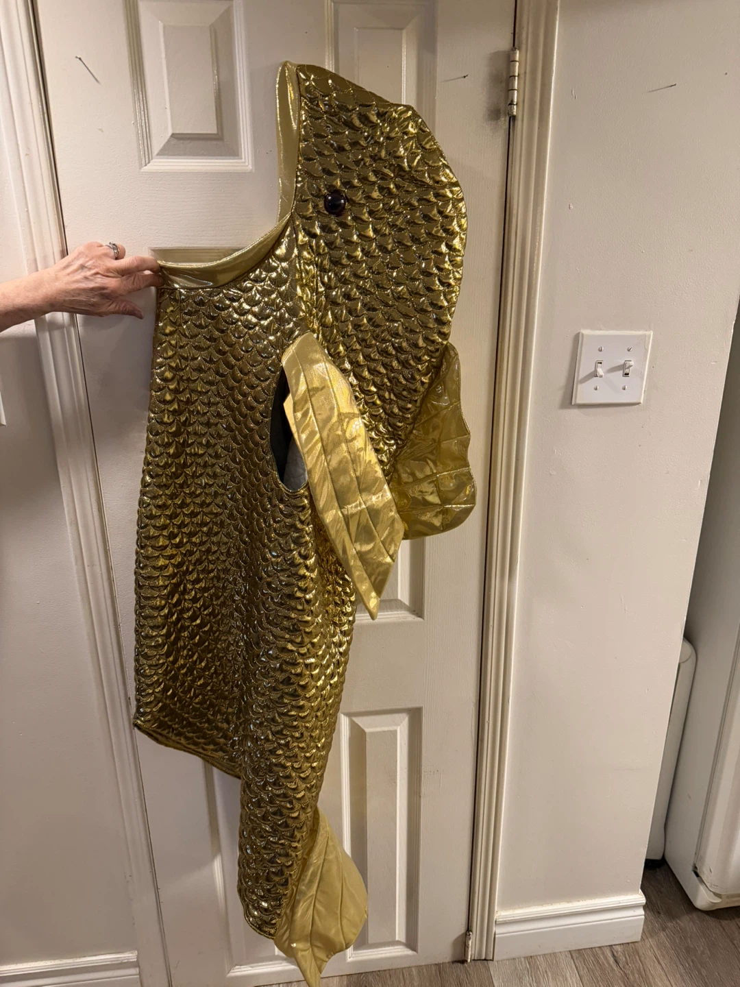 Gold Fish Costume - photo 3