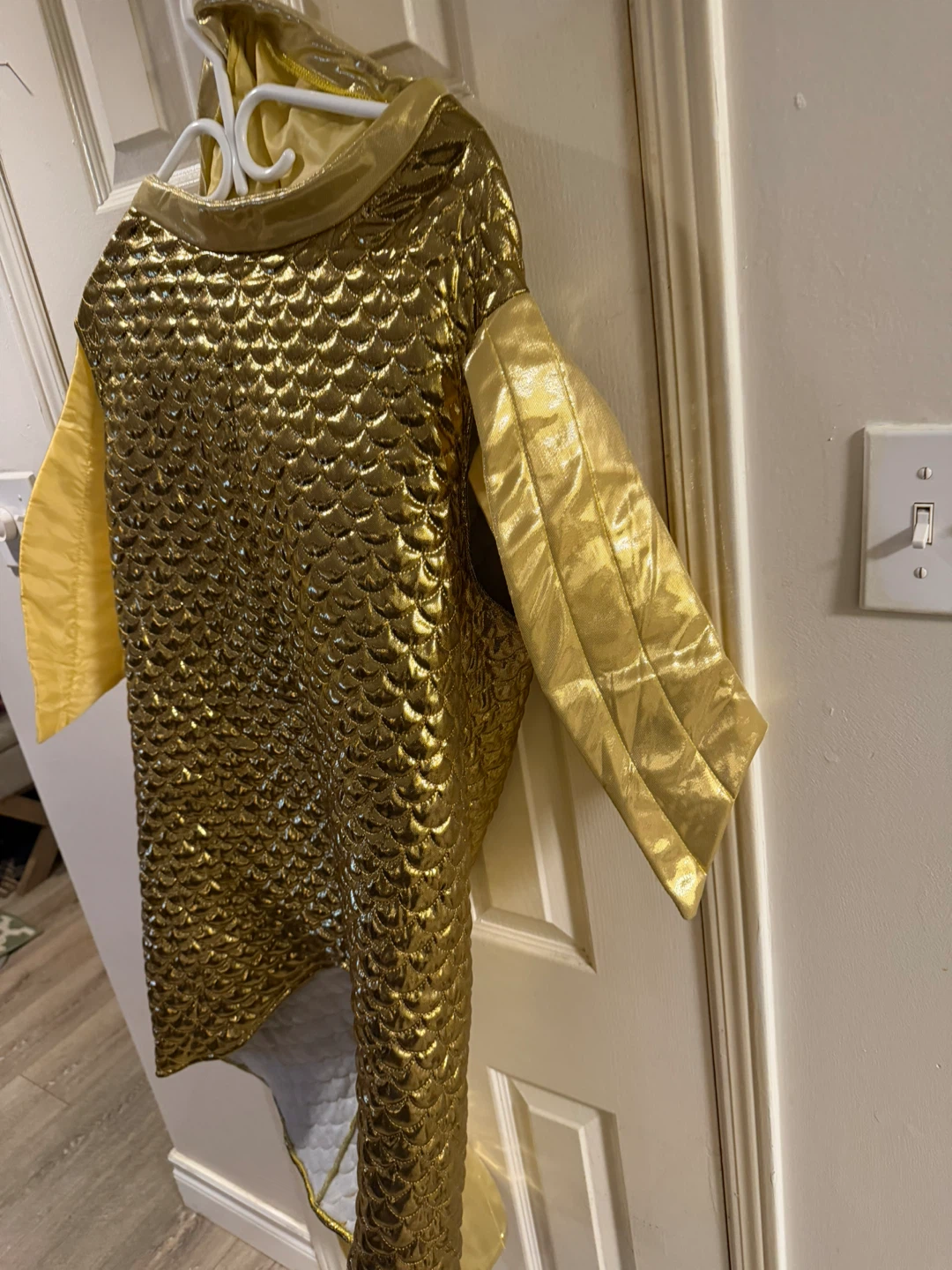 Gold Fish Costume