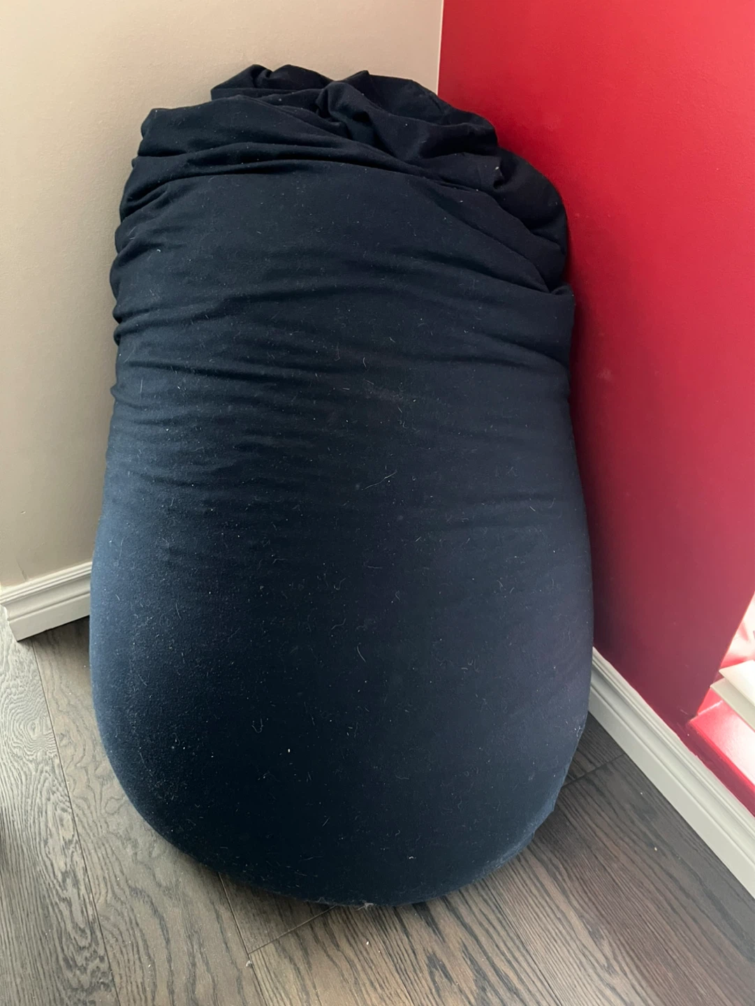 Moon Pod beanbag
