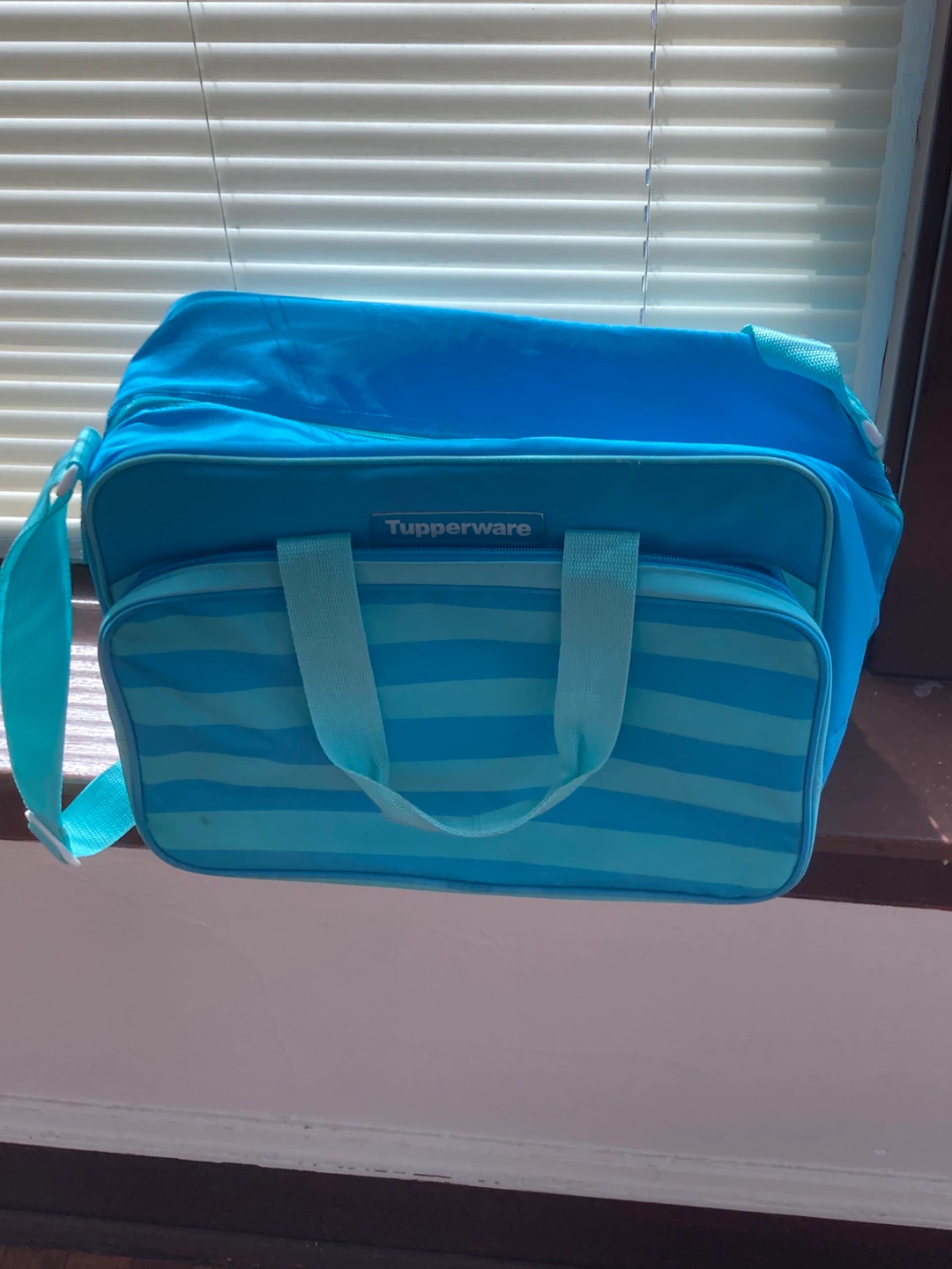 Tupperware Insulated Lunch Bag