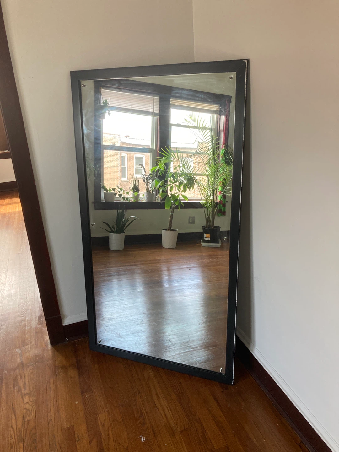 Full Length Mirror with Black Frame