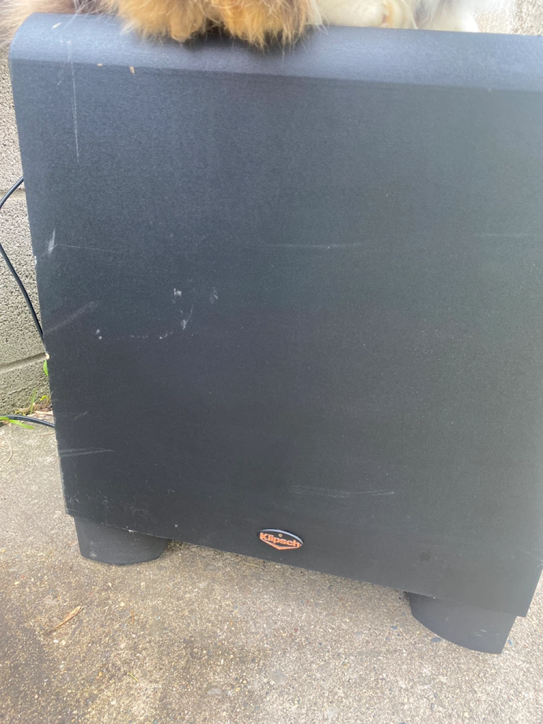Klipsch KSW 12 Subwoofer