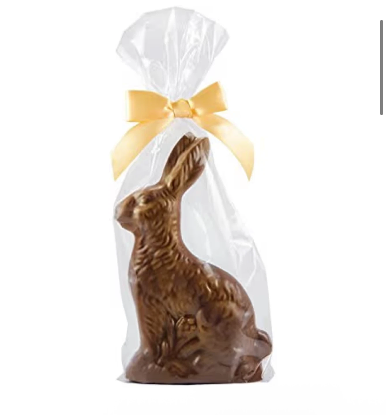 Big Chocolate 10oz Bunny