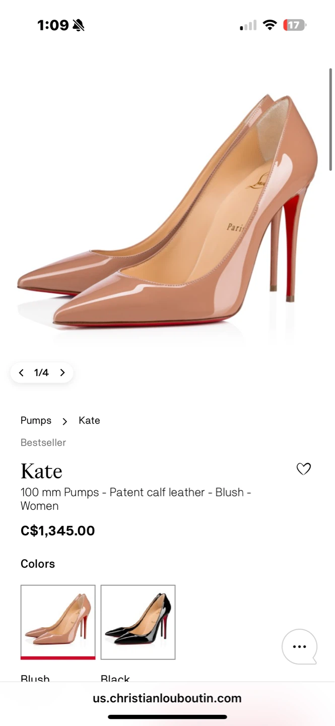 Christian Louboutin Kate 100 mm - photo 5