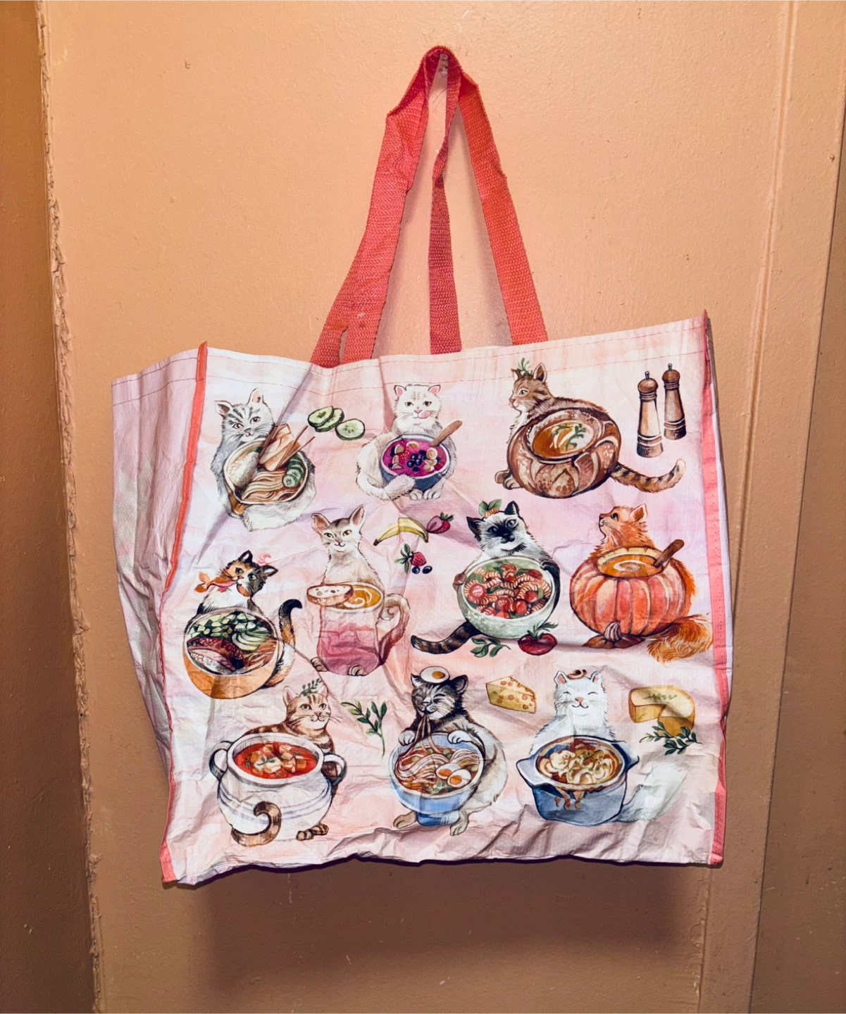 Tote Bag - Cute Cats Food Theme