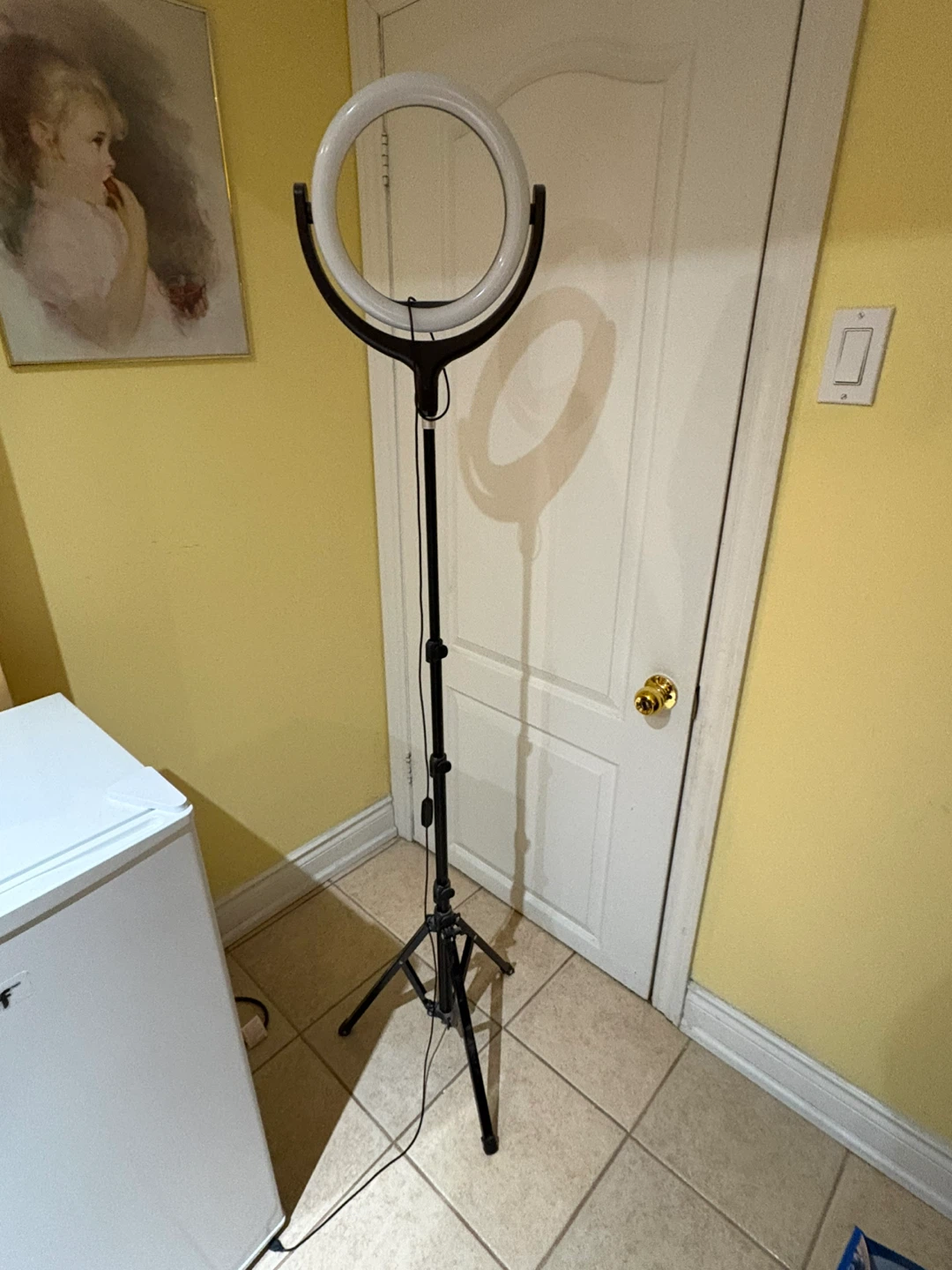 Large standing Ring Light