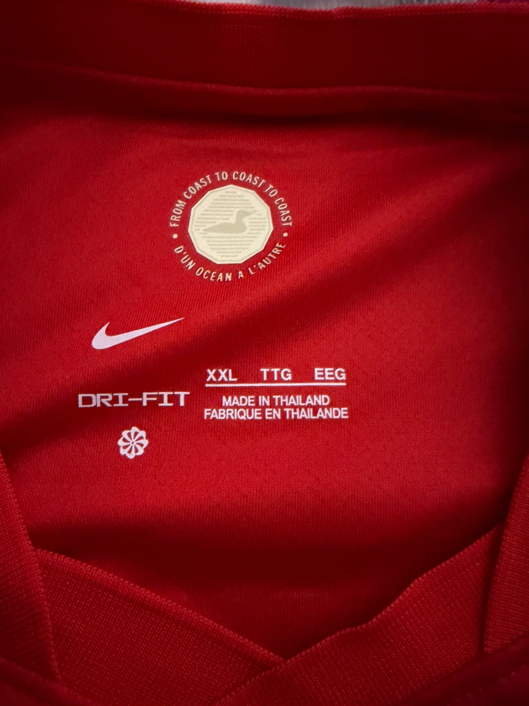 Team Canada Jersey Alfonso Davies - photo 2