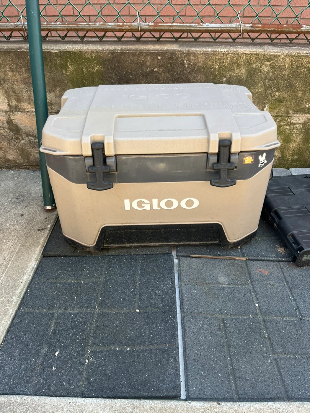 Igloo Cooler - photo 2