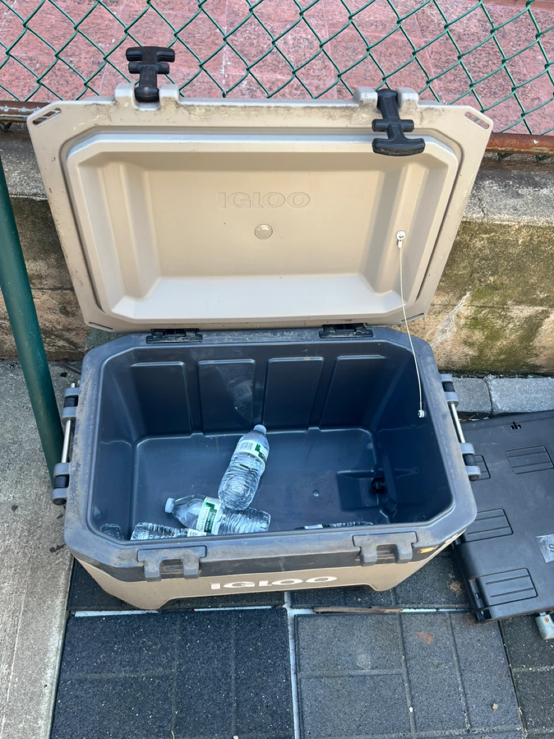 Igloo Cooler