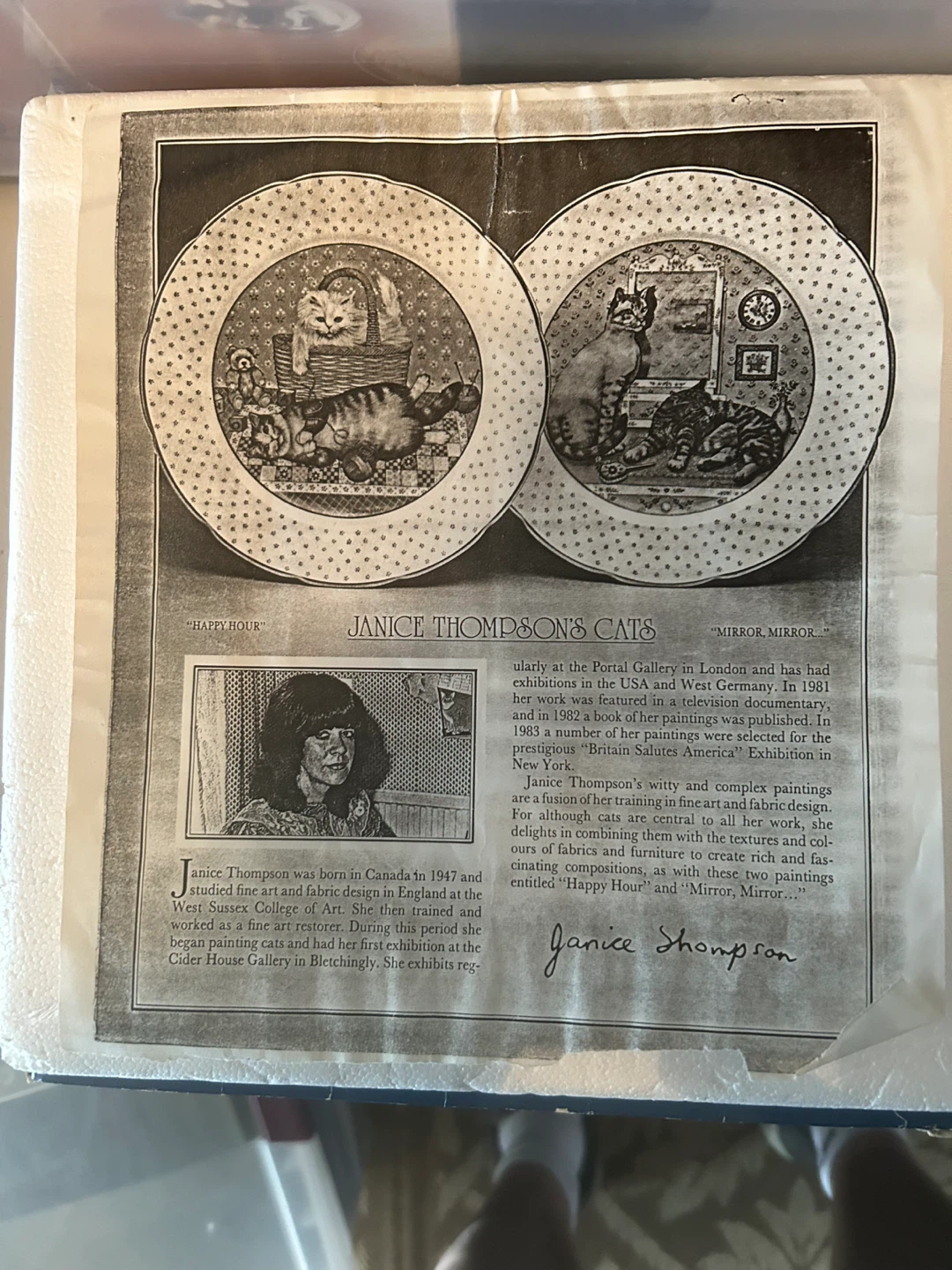 Wedgwood Janice Thompson's Cats "Mirror Mirror" Collector Plate - photo 2
