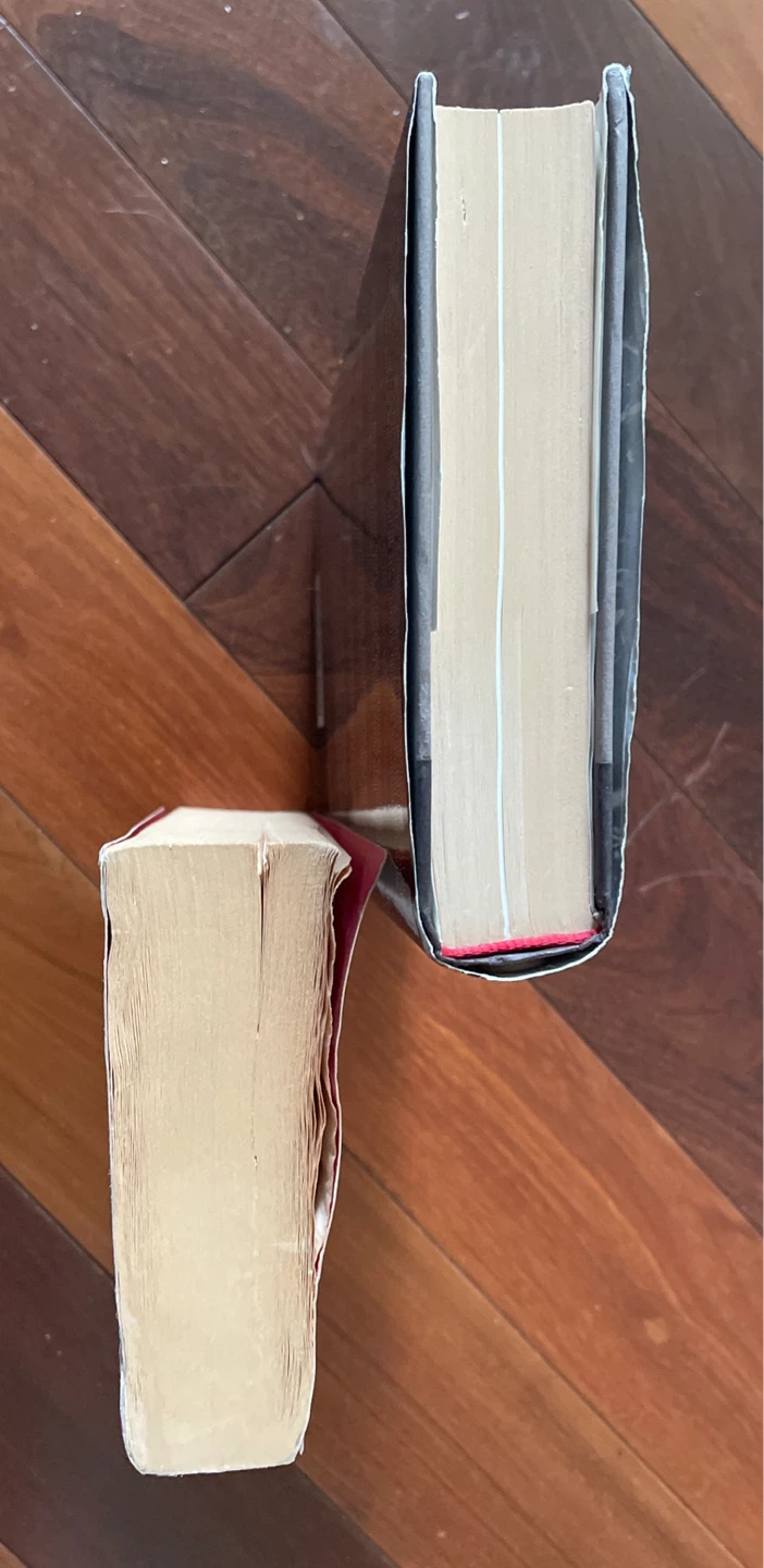 Elon Musk book and Sapiens book - photo 4