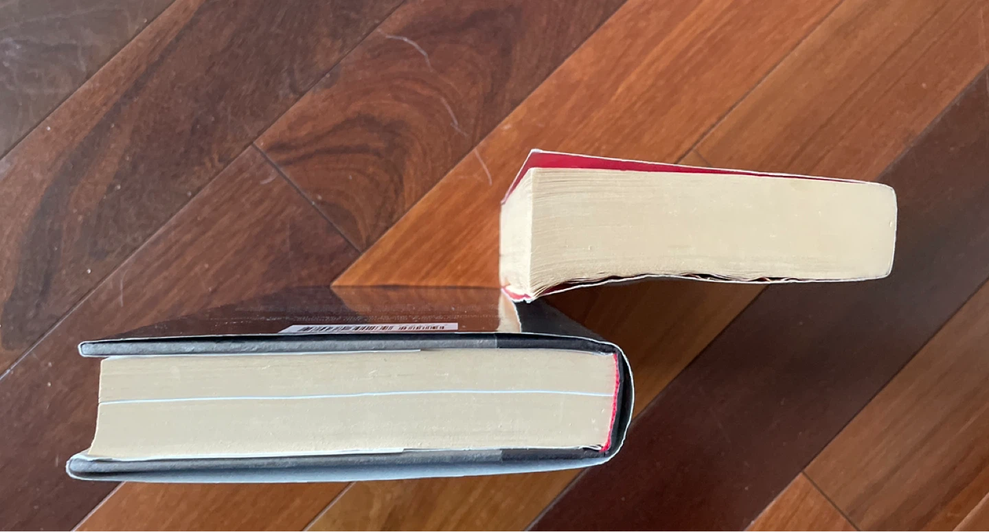 Elon Musk book and Sapiens book - photo 3