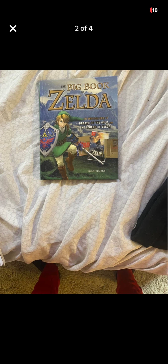 The Big Book of Zelda: Unofficial Guide - photo 3