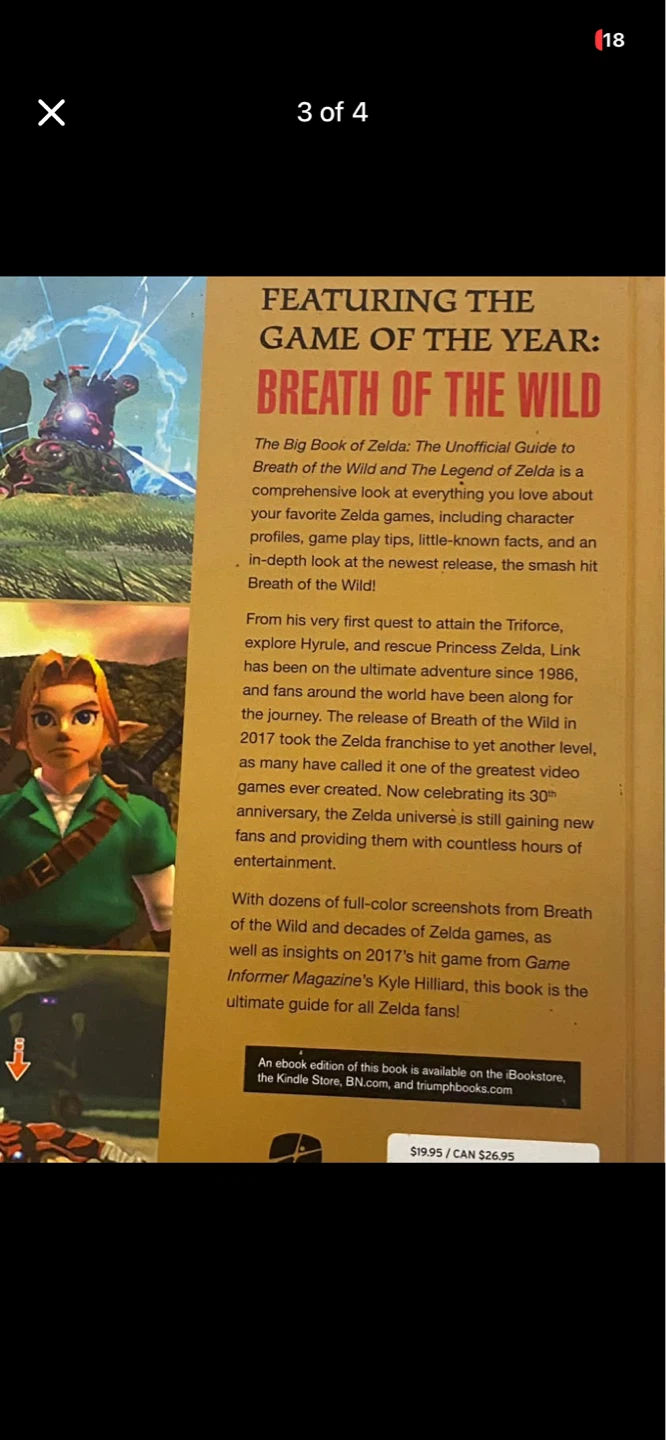 The Big Book of Zelda: Unofficial Guide - photo 2