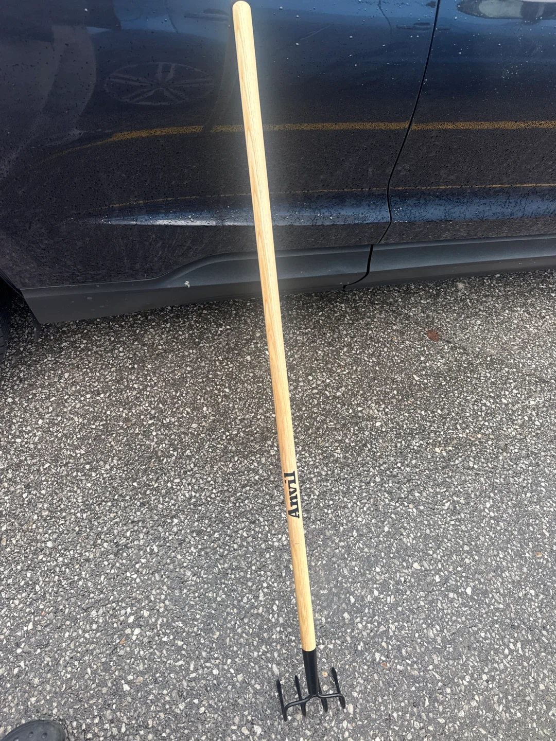 Anvil Garden Fork
