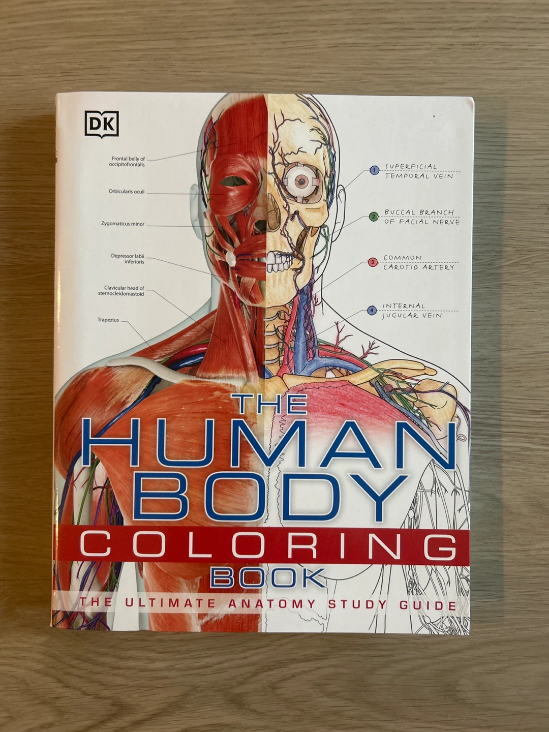 The Human Body Coloring Book: The Ultimate Anatomy Study Guide