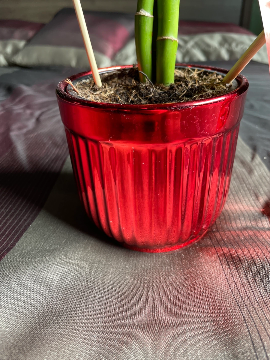 Red Ceramic Planter/Pot