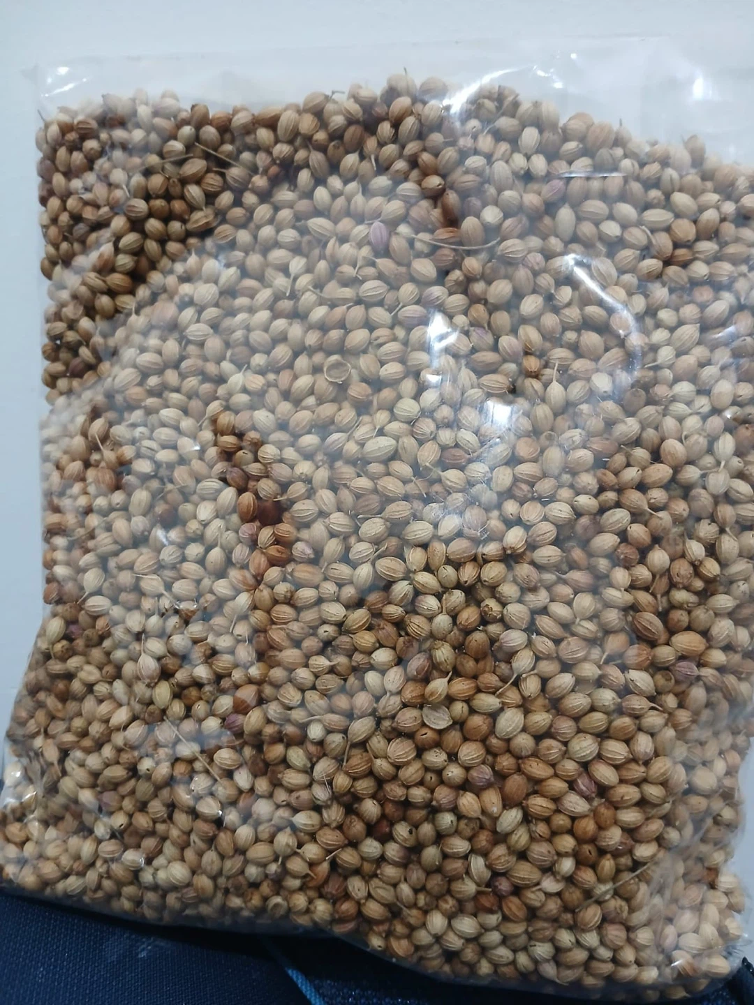 Indian Coriander Seeds