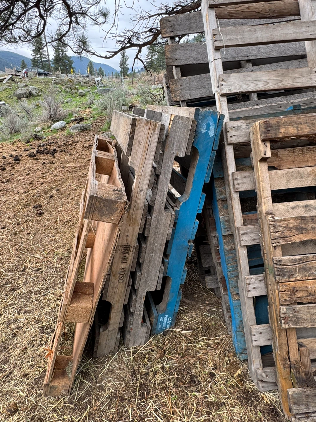Wooden Pallets - photo 3