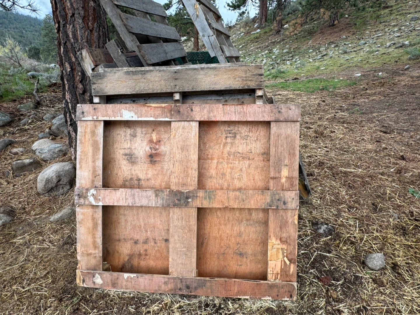 Wooden Pallets - photo 4