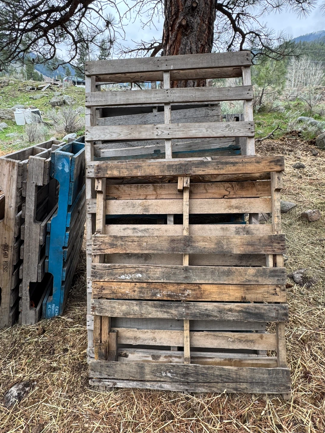 Wooden Pallets - photo 2