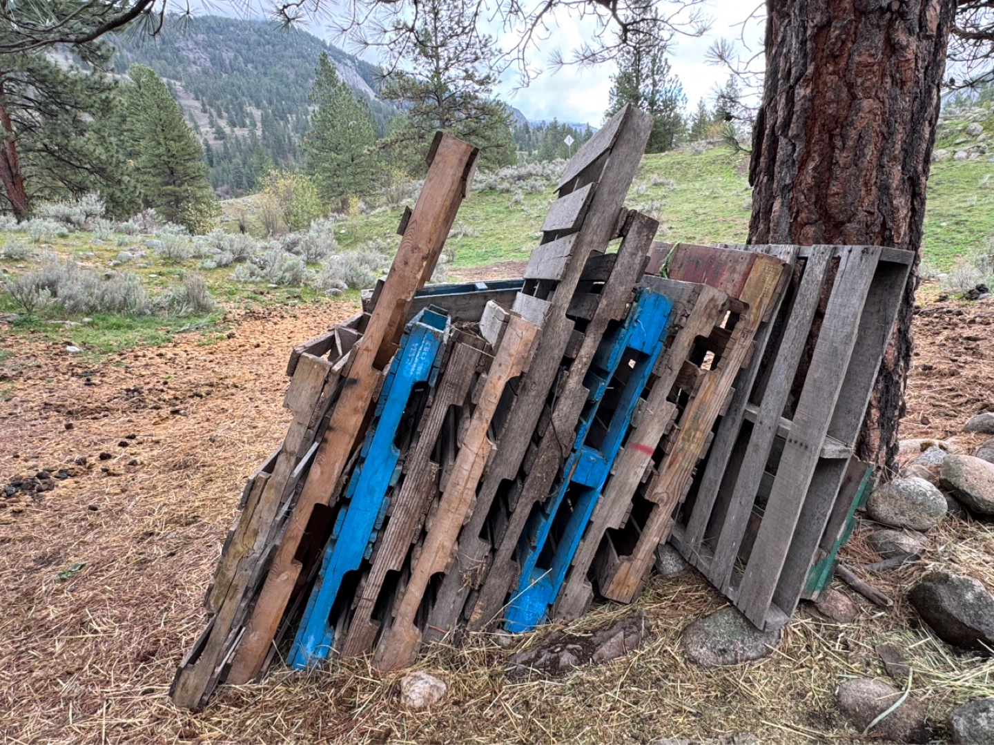 Wooden Pallets